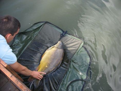 10.70kg_2.jpg