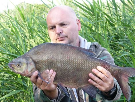 2.9kg_dever.jpg