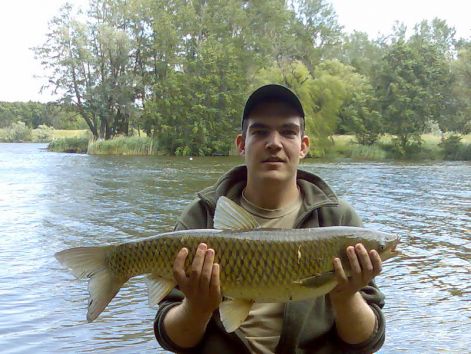 amur_68_cm_6_kg.jpg