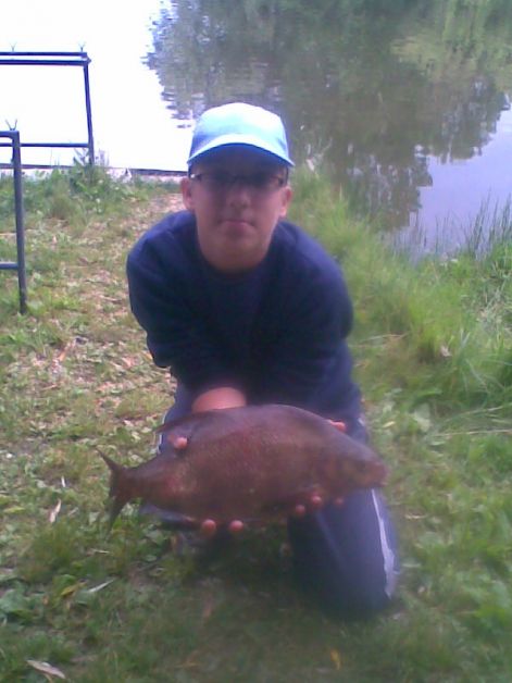 dever_42_cm.jpg